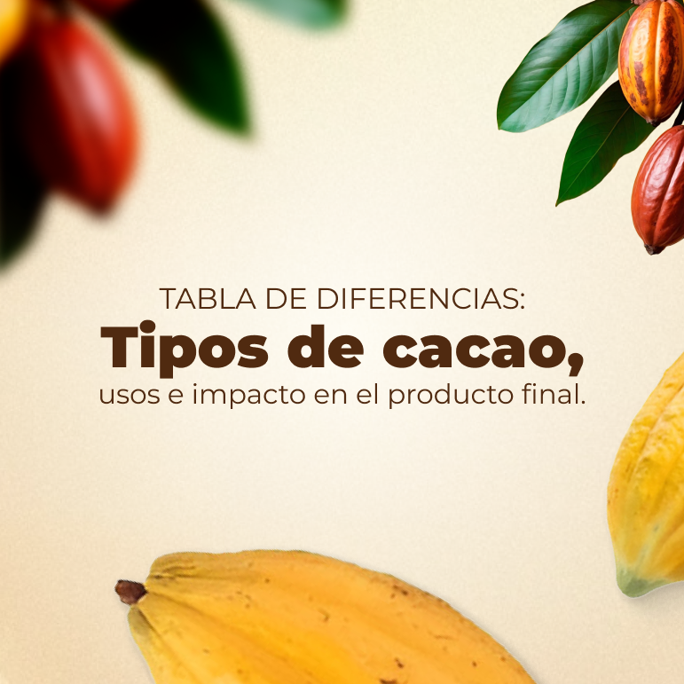 Miniatura Tabla de diferencias_ Tipos de cacao, usos e impacto en el producto final (2)